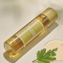 if mugwort essence Image 3.jpeg