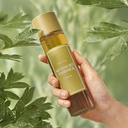 if mugwort essence Image 4.jpeg