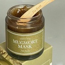 if mugwort mask Image 4.jpeg
