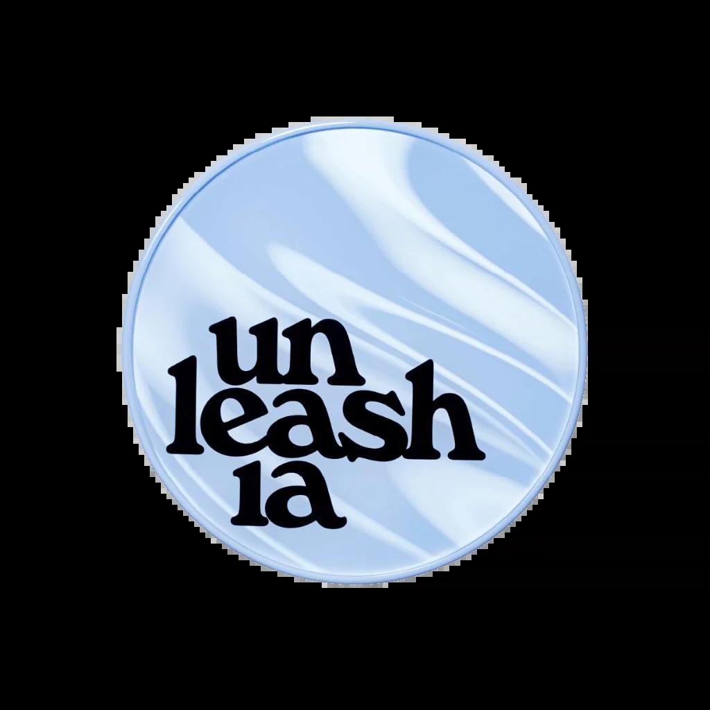 unleashia blue cushion cover Image 2.jpeg