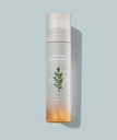 Time Revolution Artemisia Treatment Essence Mist Type 120ml
