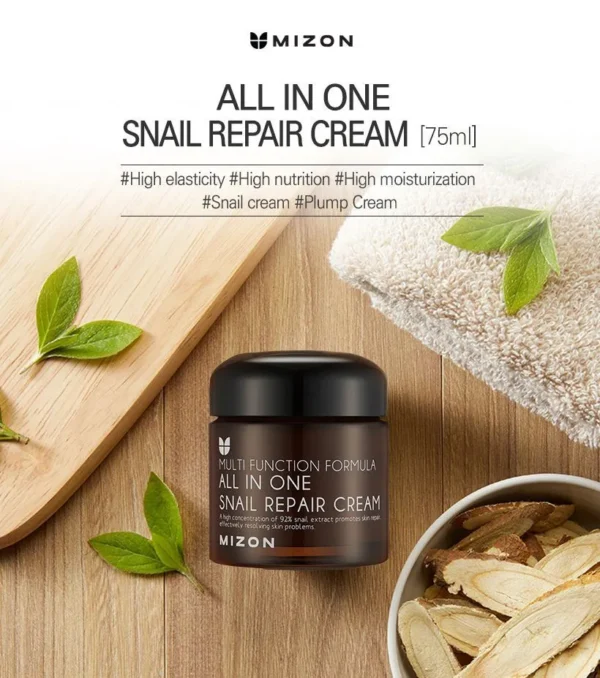 MIZON - All In One Snail Repair Cream